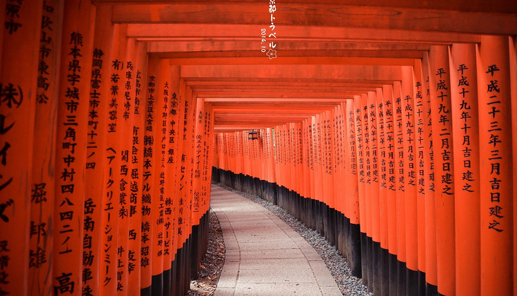 2019年11月3日皇家加勒比邮轮海洋光谱号 上海出发 中国国旅